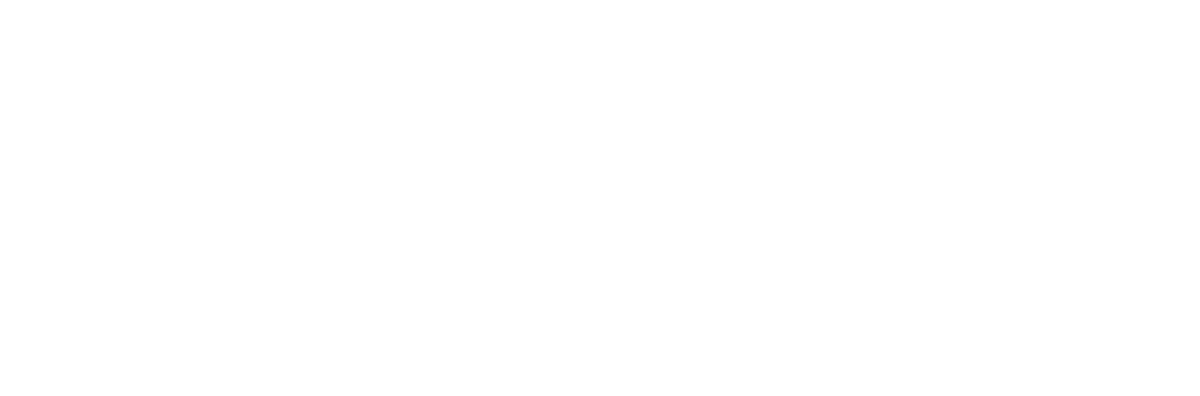RMC Inspections